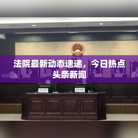 法院最新動(dòng)態(tài)速遞，今日熱點(diǎn)頭條新聞