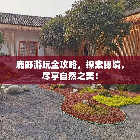 真獨(dú)簡(jiǎn)貴