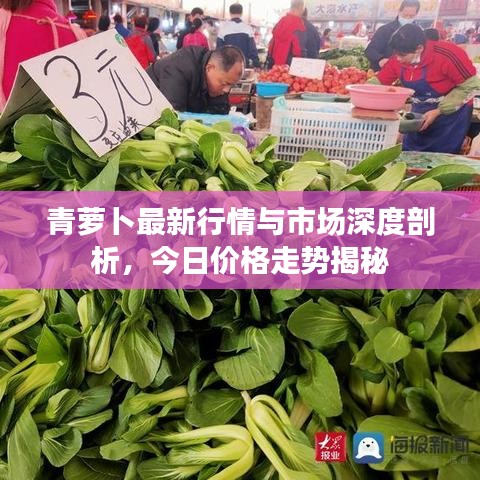 南轅北轍