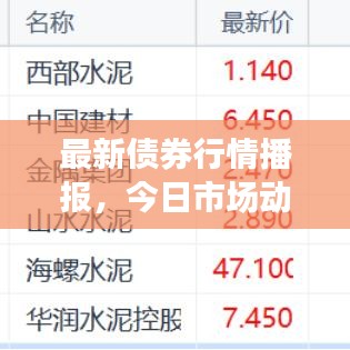 最新債券行情播報，今日市場動態(tài)揭秘！