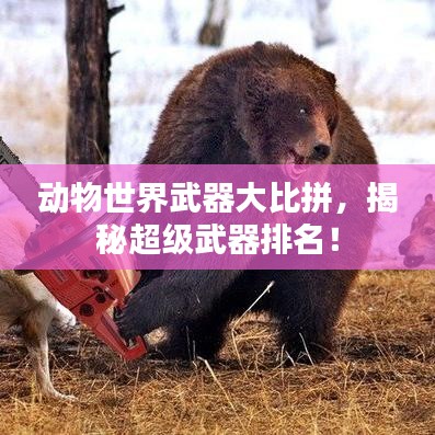 動物世界武器大比拼，揭秘超級武器排名！