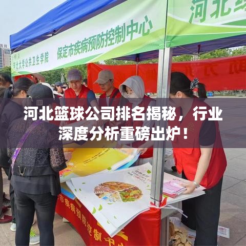 河北籃球公司排名揭秘，行業(yè)深度分析重磅出爐！