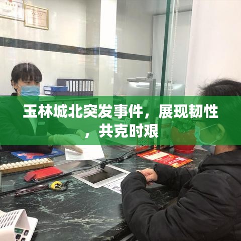 名士風(fēng)流