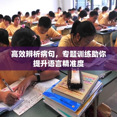 高效辨析病句，專題訓(xùn)練助你提升語言精準(zhǔn)度