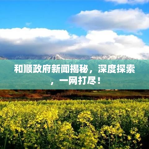 和順政府新聞揭秘，深度探索，一網(wǎng)打盡！