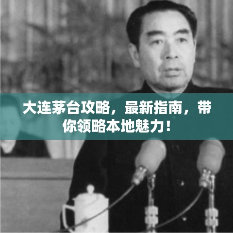 大連茅臺(tái)攻略，最新指南，帶你領(lǐng)略本地魅力！