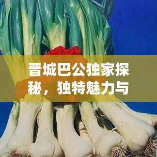 晉城巴公獨(dú)家探秘，獨(dú)特魅力與歷史底蘊(yùn)的完美結(jié)合