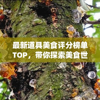最新道具美食評(píng)分榜單TOP，帶你探索美食世界的寶藏佳肴
