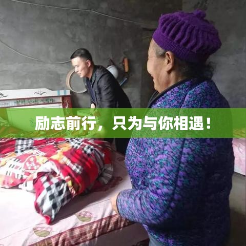 展翅欲飛