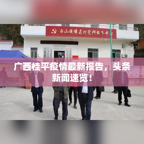 甄繁就簡