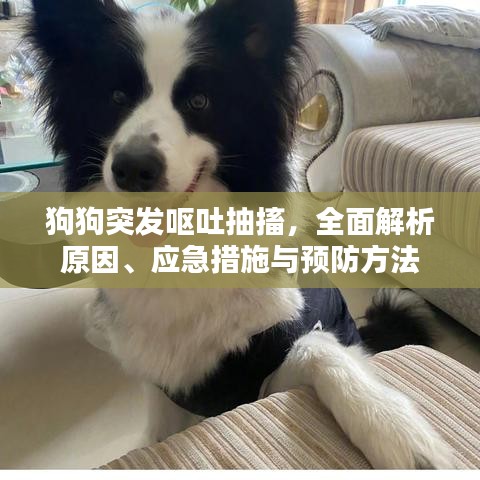 舉世無(wú)雙