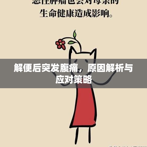 解便后突發(fā)腹痛，原因解析與應(yīng)對策略