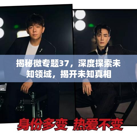 揭秘微專題37，深度探索未知領(lǐng)域，揭開未知真相