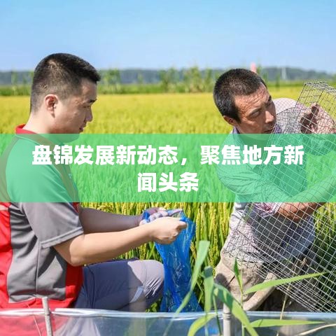 盤錦發(fā)展新動態(tài)，聚焦地方新聞頭條