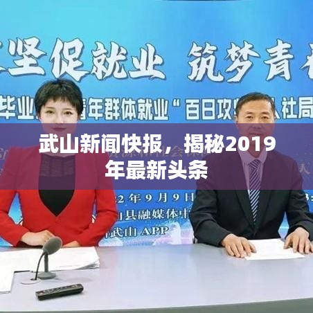武山新聞快報，揭秘2019年最新頭條