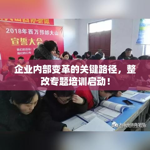 企業(yè)內部變革的關鍵路徑，整改專題培訓啟動！