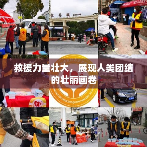 救援力量壯大，展現(xiàn)人類團(tuán)結(jié)的壯麗畫卷