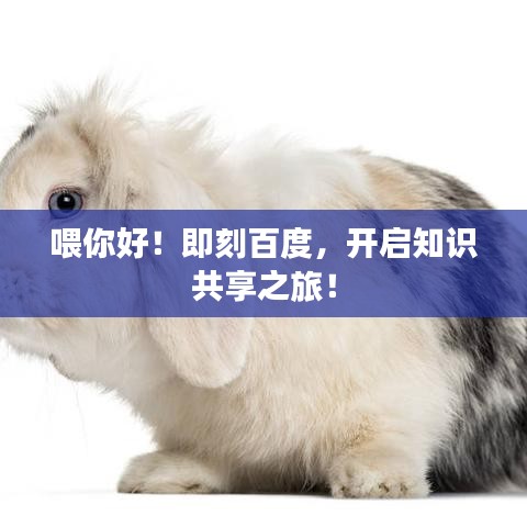 喂你好！即刻百度，開啟知識(shí)共享之旅！