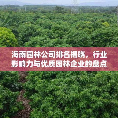 海南園林公司排名揭曉，行業(yè)影響力與優(yōu)質(zhì)園林企業(yè)的盤(pán)點(diǎn)