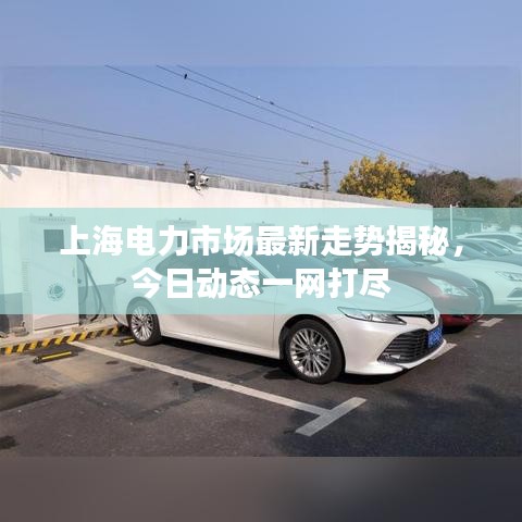上海電力市場最新走勢揭秘，今日動態(tài)一網(wǎng)打盡