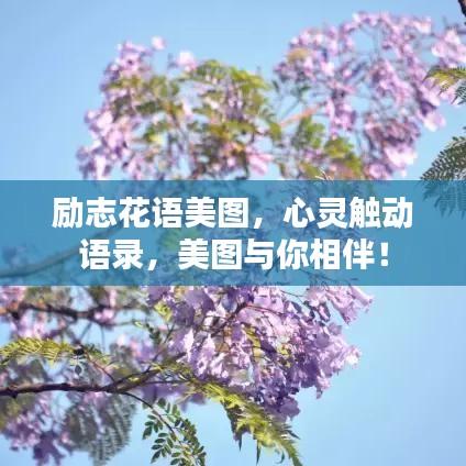勵(lì)志花語美圖，心靈觸動語錄，美圖與你相伴！