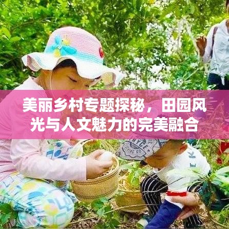 美麗鄉(xiāng)村專題探秘，田園風(fēng)光與人文魅力的完美融合