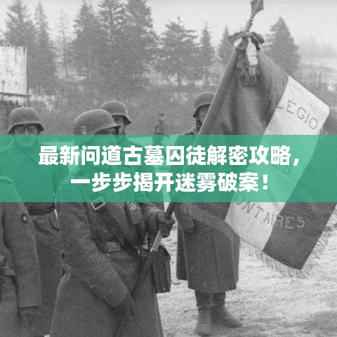 最新問道古墓囚徒解密攻略，一步步揭開迷霧破案！