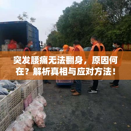 突發(fā)腰痛無法翻身，原因何在？解析真相與應(yīng)對(duì)方法！