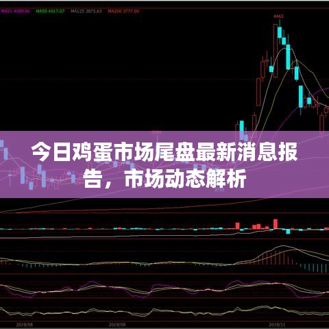 今日雞蛋市場尾盤最新消息報告，市場動態(tài)解析
