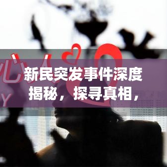 新民突發(fā)事件深度揭秘，探尋真相，不容忽視