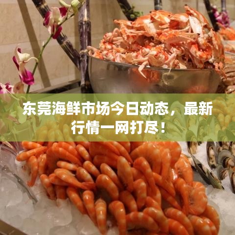 東莞海鮮市場(chǎng)今日動(dòng)態(tài)，最新行情一網(wǎng)打盡！