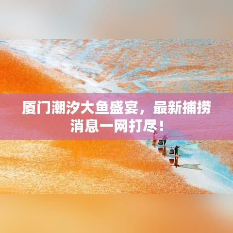 廈門(mén)潮汐大魚(yú)盛宴，最新捕撈消息一網(wǎng)打盡！