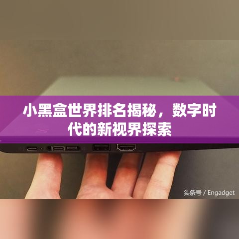 小黑盒世界排名揭秘，數(shù)字時代的新視界探索