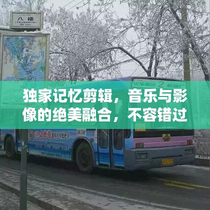 獨(dú)家記憶剪輯，音樂與影像的絕美融合，不容錯(cuò)過！