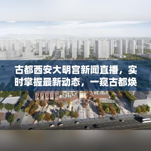 古都西安大明宮新聞直播，實時掌握最新動態(tài)，一窺古都煥新貌風(fēng)采