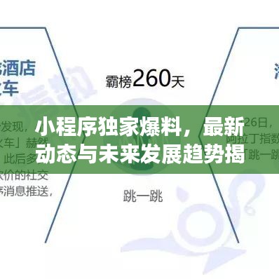 小程序獨家爆料，最新動態(tài)與未來發(fā)展趨勢揭秘