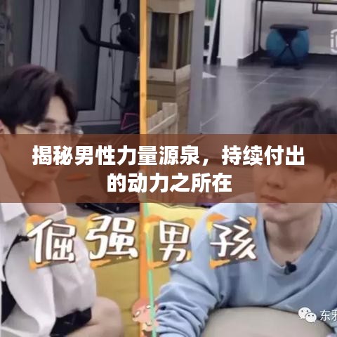 揭秘男性力量源泉，持續(xù)付出的動力之所在
