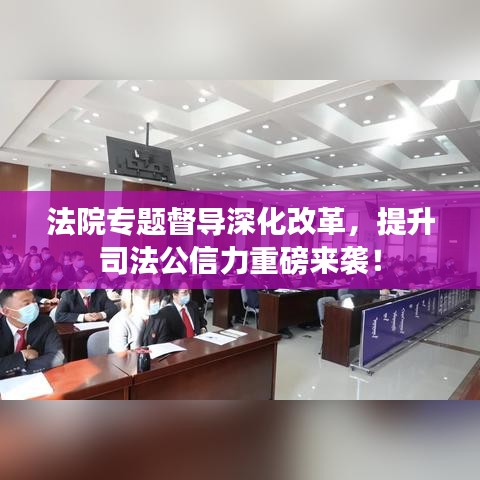 法院專題督導深化改革，提升司法公信力重磅來襲！