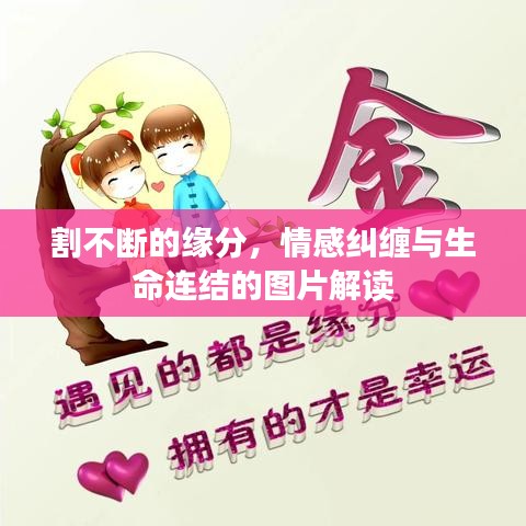 割不斷的緣分，情感糾纏與生命連結(jié)的圖片解讀