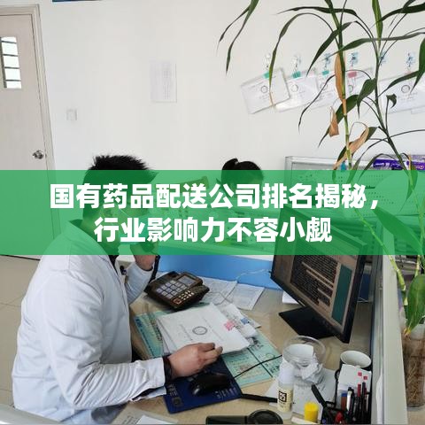 國有藥品配送公司排名揭秘，行業(yè)影響力不容小覷