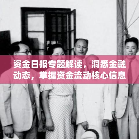 資金日報專題解讀，洞悉金融動態(tài)，掌握資金流動核心信息！