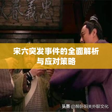 宋六突發(fā)事件的全面解析與應(yīng)對(duì)策略