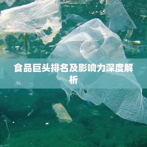 食品巨頭排名及影響力深度解析