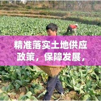 精準(zhǔn)落實(shí)土地供應(yīng)政策，保障發(fā)展，守護(hù)耕地安全