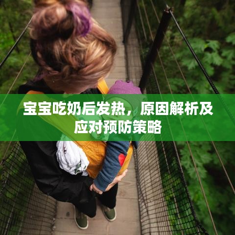 寶寶吃奶后發(fā)熱，原因解析及應(yīng)對(duì)預(yù)防策略