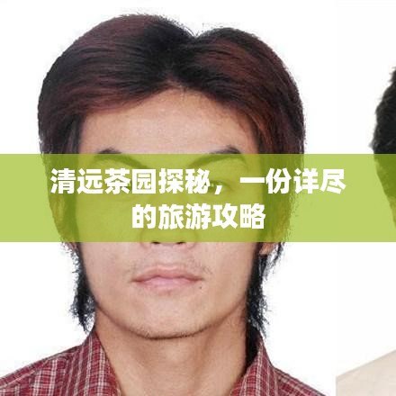 清遠茶園探秘，一份詳盡的旅游攻略