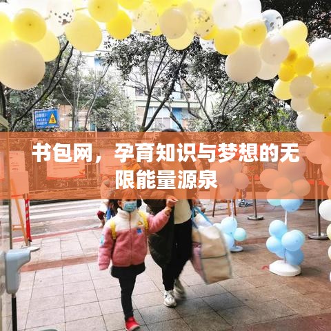 書(shū)包網(wǎng)，孕育知識(shí)與夢(mèng)想的無(wú)限能量源泉