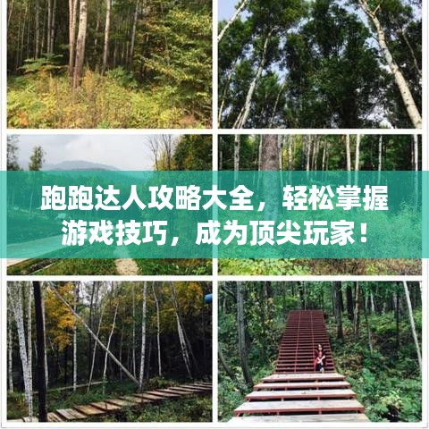 跑跑達(dá)人攻略大全，輕松掌握游戲技巧，成為頂尖玩家！
