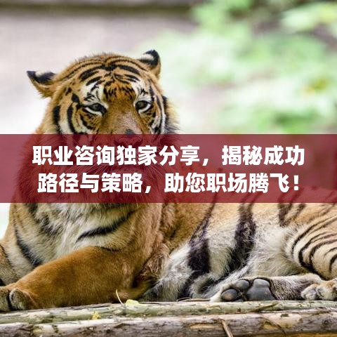 職業(yè)咨詢獨(dú)家分享，揭秘成功路徑與策略，助您職場騰飛！