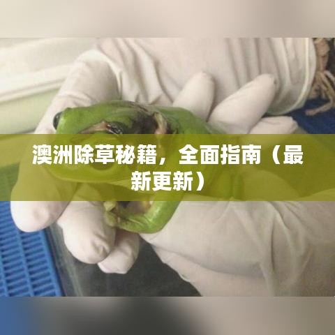 澳洲除草秘籍，全面指南（最新更新）